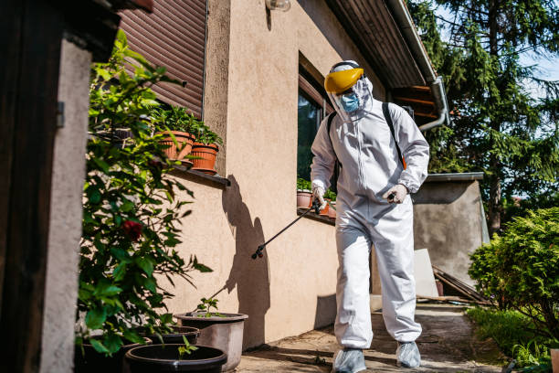 Best Bed Bug Extermination  in Elk Creek, KY