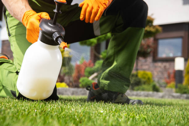 Best Affordable Pest Control Services  in Elk Creek, KY