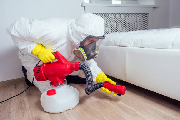 Best Flea Control Services  in Elk Creek, KY