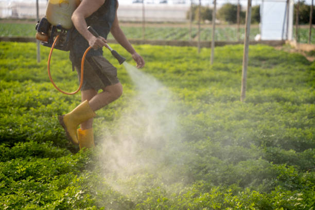 Best Mosquito Control Services  in Elk Creek, KY