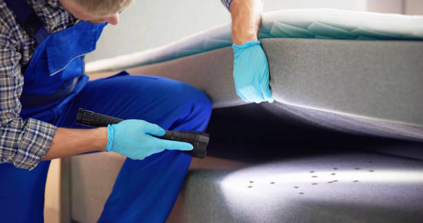 Professional Pest Control in Elk Creek, KY